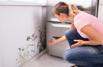 Cómo solicitar daños y perjuicios por humedades